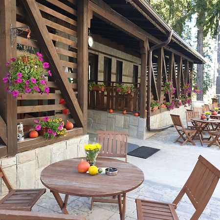 Green Life Family Apartments Pamporovo Exteriör bild