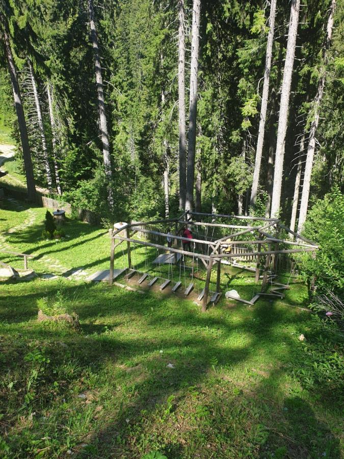 Green Life Family Apartments Pamporovo Exteriör bild