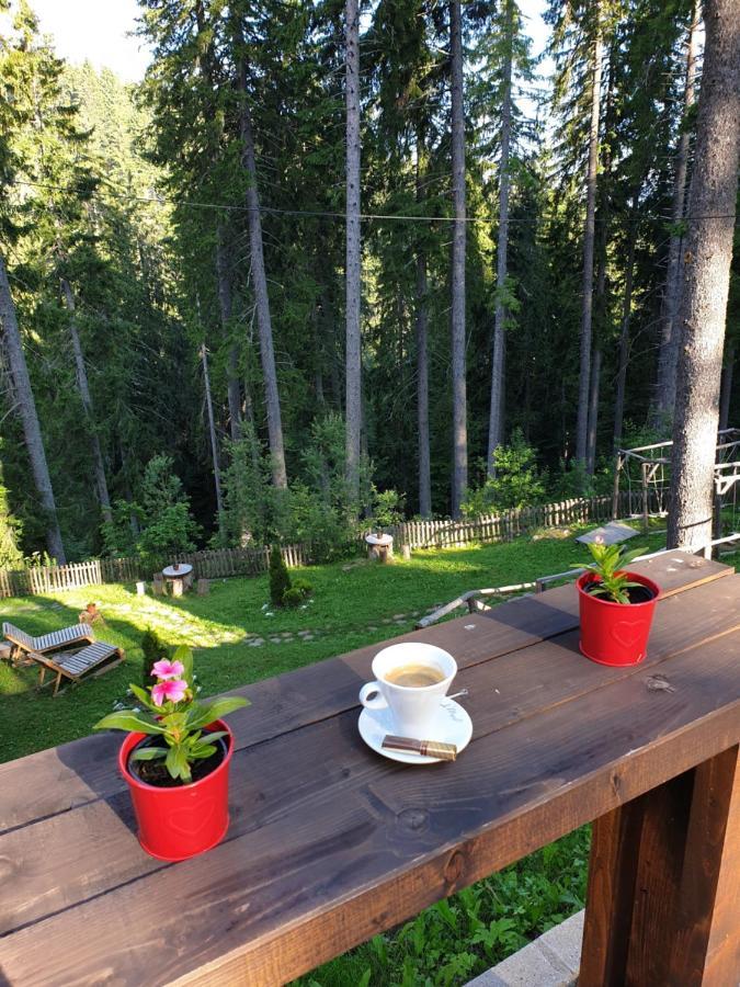 Green Life Family Apartments Pamporovo Exteriör bild