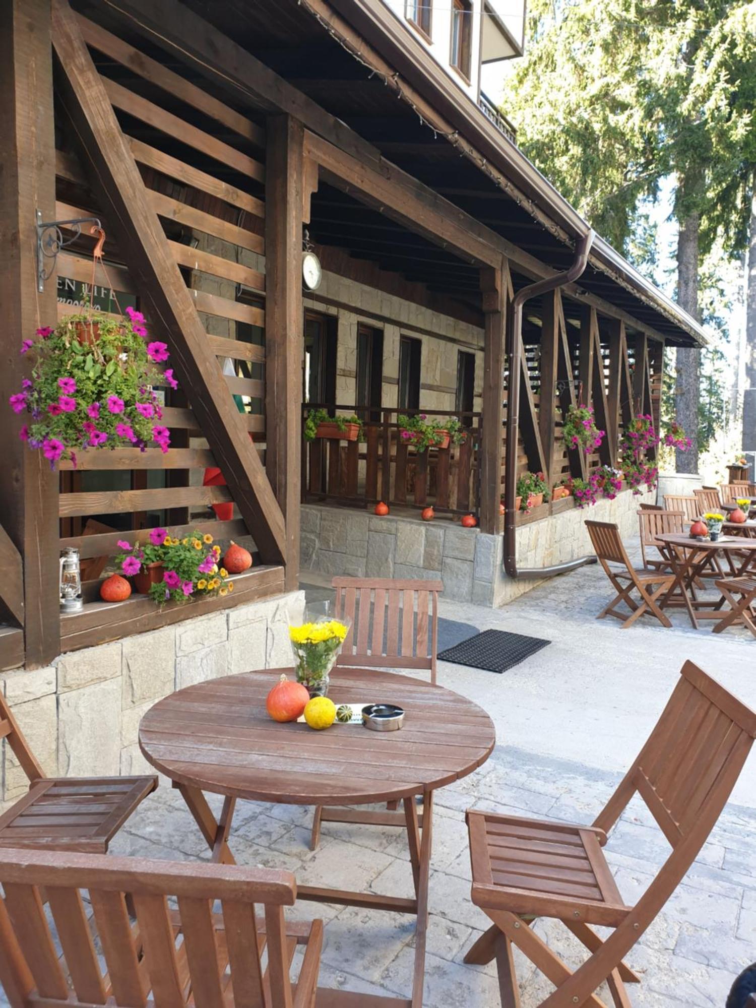 Green Life Family Apartments Pamporovo Exteriör bild